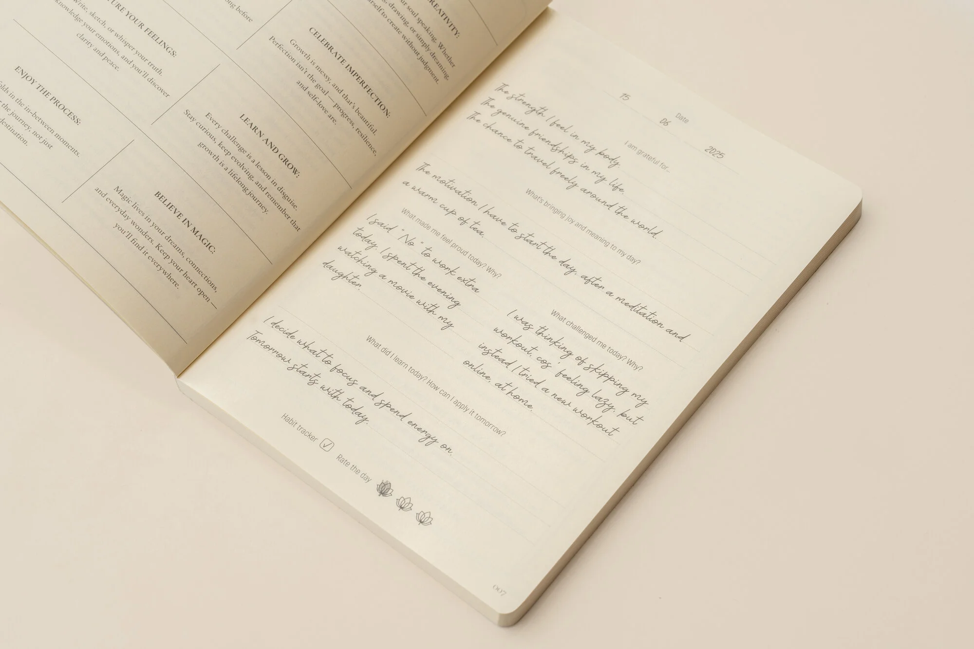 Daily Journal - Image 4